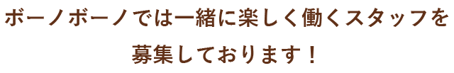 働くスタッフを募集しております